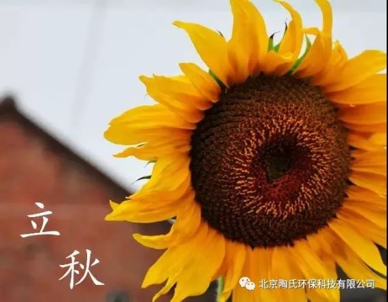 乐思体育免费直播  祝您立秋快乐